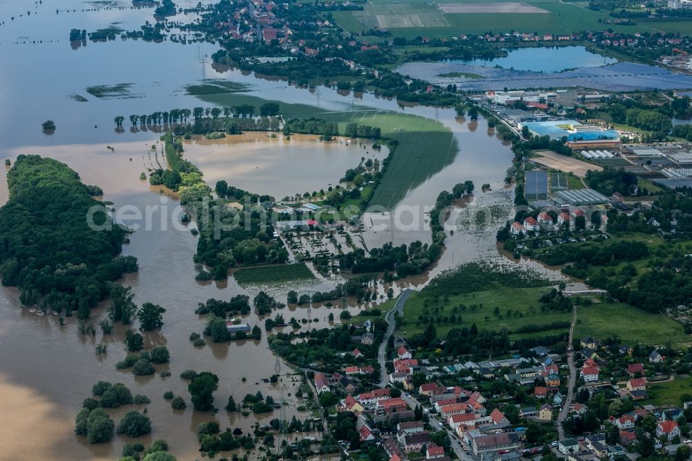 Coswig from the bird's eye view: The situation during the flooding in East Germany on the bank of the river Elbe close to Riesa and Nünchritz in the state of Saxony. Overview of the Elbe river and neighbouring fields and allotements. View of the Elbe islands Pillnitz and Gauernitz and the swimming lake Coswig-Kötitz