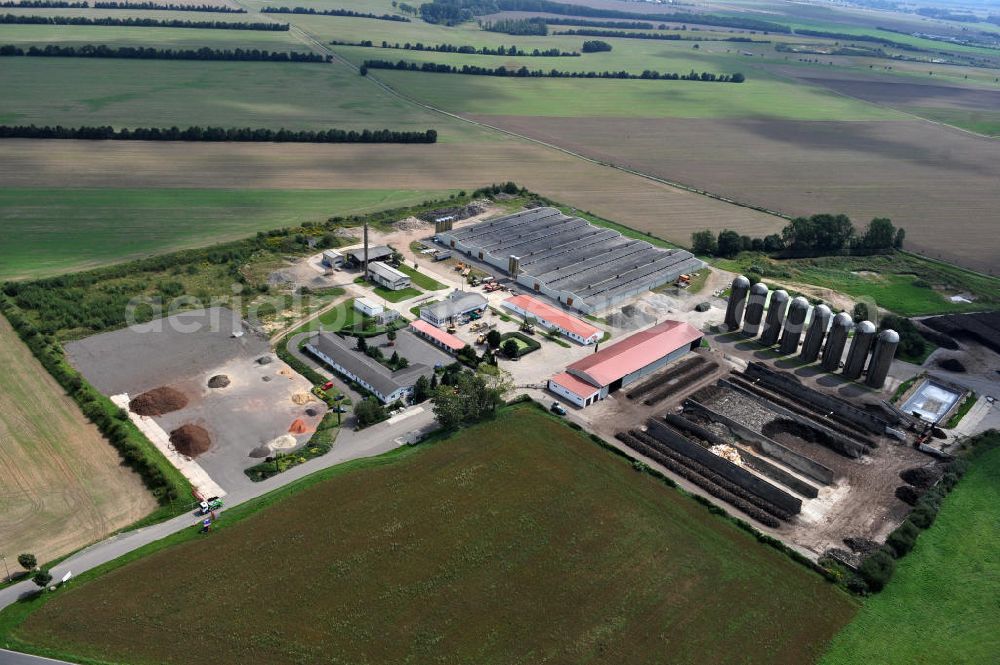 Aerial photograph Liemehna - Der Sitz der auf Erdbau und Abriss sowie Handel mit Bauschutt spezialisierten Firmengruppe Rösl in Liemeha, Sachsen. The office of the Roesle group in Liemeha, Saxony. The company is specialized on eathworks, demolishion and trade with rubbish.