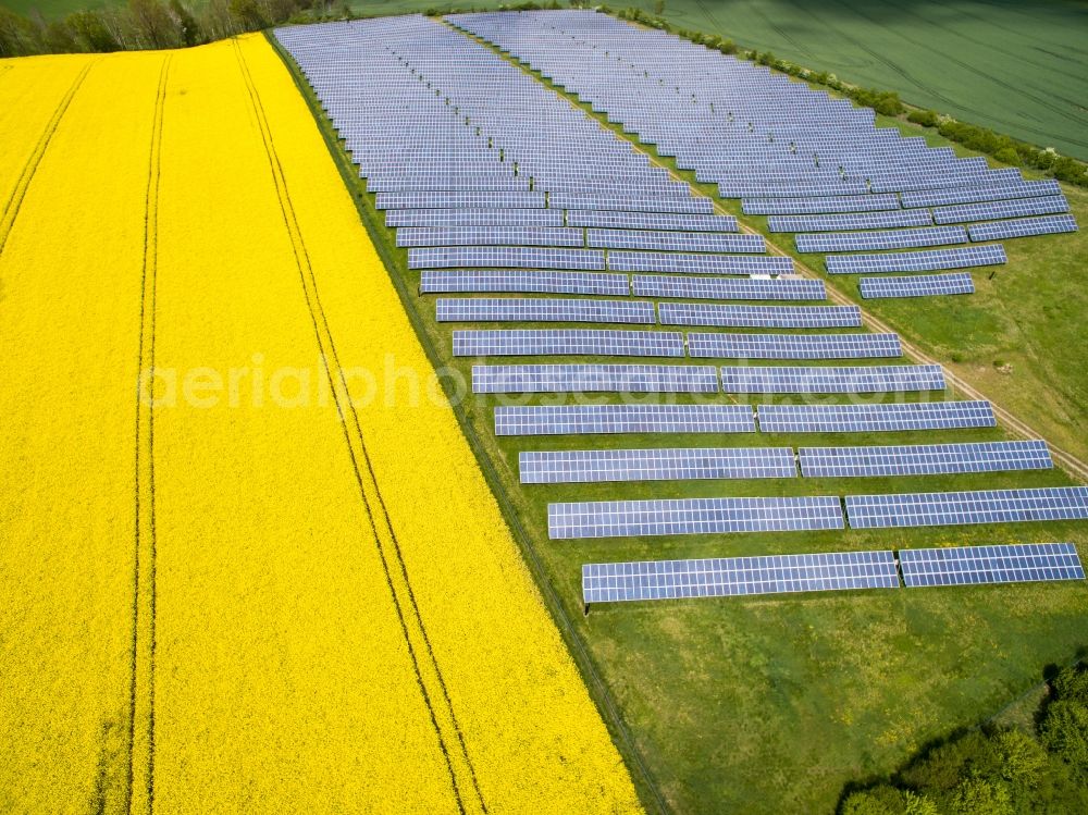 Polditz from the bird's eye view: Rows of panels of a solar power plant and photovoltaic system on a yellow rapeseed field in Polditz in the state Saxony, Germany