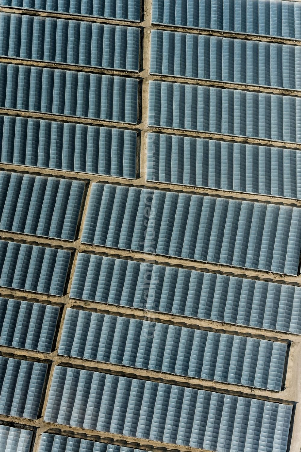 Apulien from above - Panel rows of photovoltaic and solar farm or solar power plant in Apulien in Italy