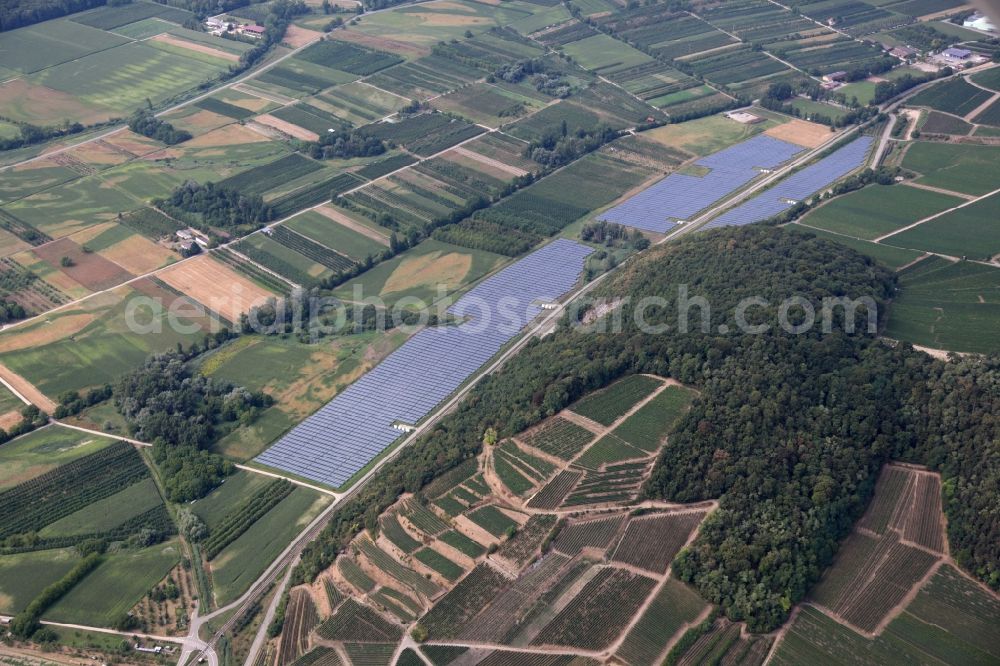 Vogtsburg im Kaiserstuhl from the bird's eye view: Panel rows of photovoltaic and solar farm Vogtsburg or solar power plant near Vogtsburg im Kaiserstuhl in the state Baden-Wuerttemberg