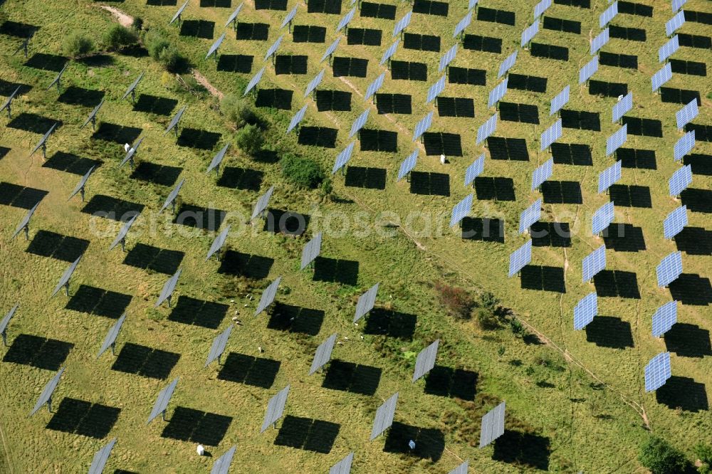 Aerial image Grimma - Panel rows of photovoltaic and solar farm or solar power plant der Kirchner Solar Group GmbH in Grimma in the state Saxony