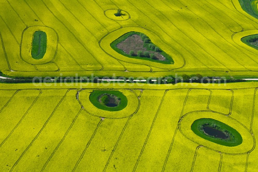 Aerial image Schwinkendorf - Field edge of a target biotope in the field surface with gelben Raps - Anbau in Schwinkendorf in the state Mecklenburg - Western Pomerania, Germany