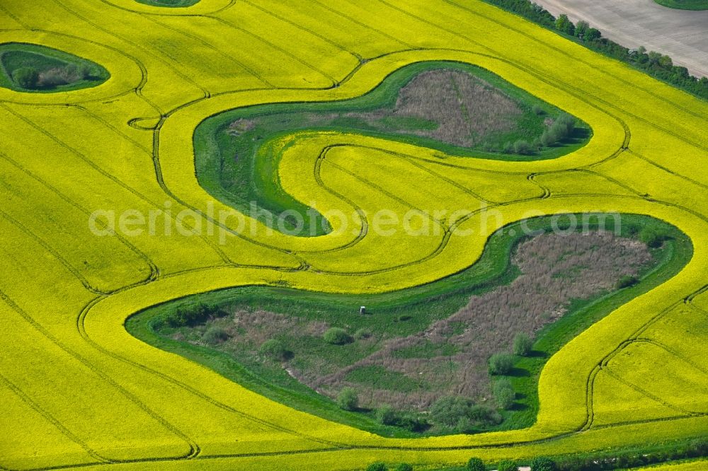 Aerial photograph Schwinkendorf - Field edge of a target biotope in the field surface with gelben Raps - Anbau in Schwinkendorf in the state Mecklenburg - Western Pomerania, Germany