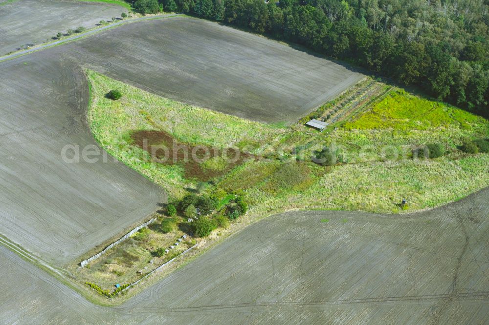 Grünewalde from above - Field edge of a target biotope in the field surface on street Horstweg in Gruenewalde in the state Brandenburg, Germany