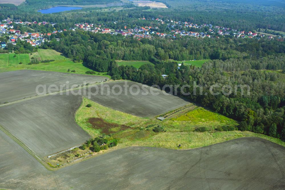 Grünewalde from the bird's eye view: Field edge of a target biotope in the field surface on street Horstweg in Gruenewalde in the state Brandenburg, Germany