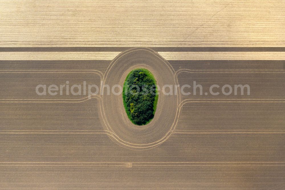 Neuenpleen from above - Field edge of a target biotope in the field surface in Neuenpleen in the state Mecklenburg - Western Pomerania, Germany