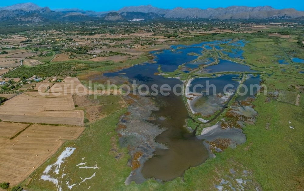 Aerial photograph Alcudia - Field edge of a target biotope in the field surface in the marshland Albufereta in Alcudia in Balearic islands, Spain