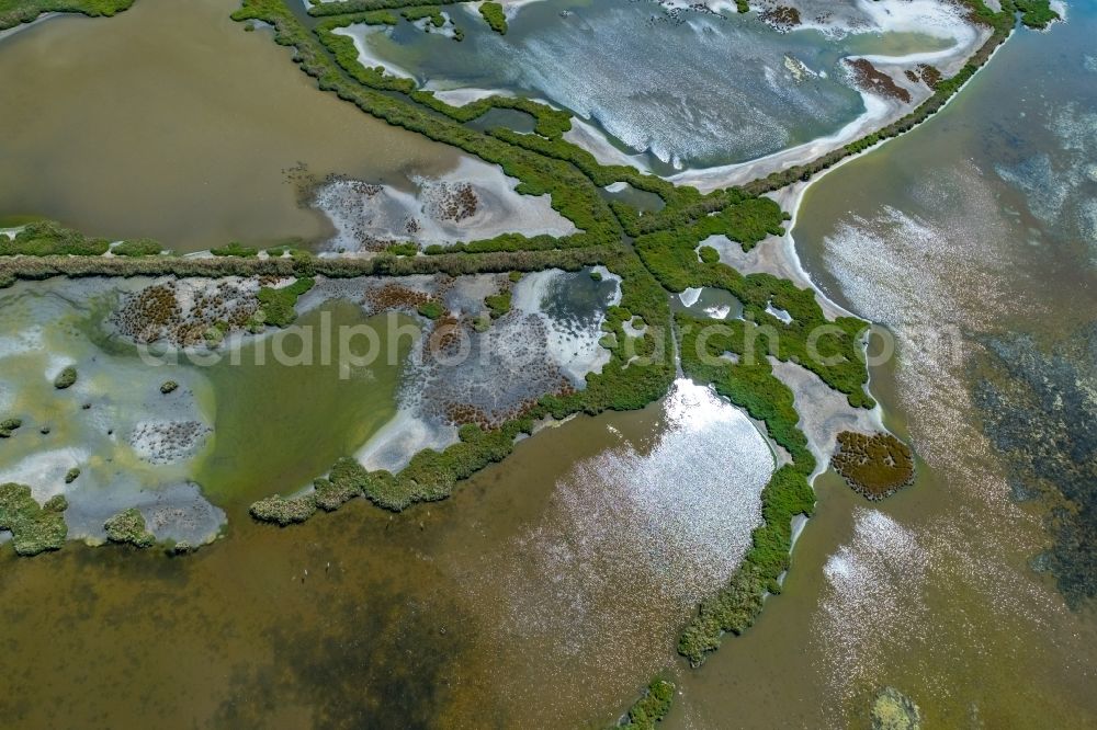 Aerial image Alcudia - Field edge of a target biotope in the field surface in the marshland Albufereta in Alcudia in Balearic islands, Spain