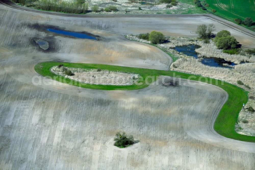 Breydin from above - Field edge of a target biotope in the field surface in Breydin in the state Brandenburg, Germany