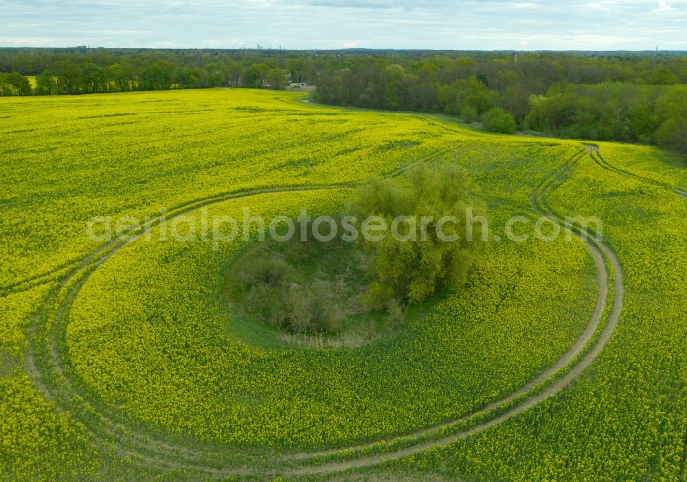 Prietzen from above - Field edge of a target biotope in the field surface of a yellow rapeseed field in Prietzen in the state Brandenburg, Germany