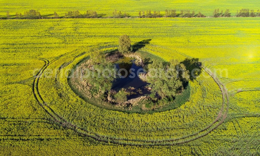 Aerial image Sachsendorf - Field edge of a target biotope in the field surface of a yellow rapeseed field in Sachsendorf in the state Brandenburg, Germany