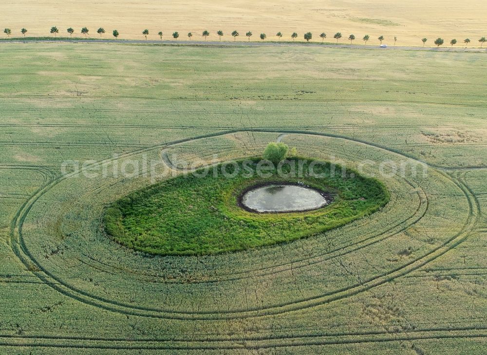 Aerial photograph Petersdorf - Field edge of a target biotope in the field surface in Petersdorf in the state Brandenburg, Germany