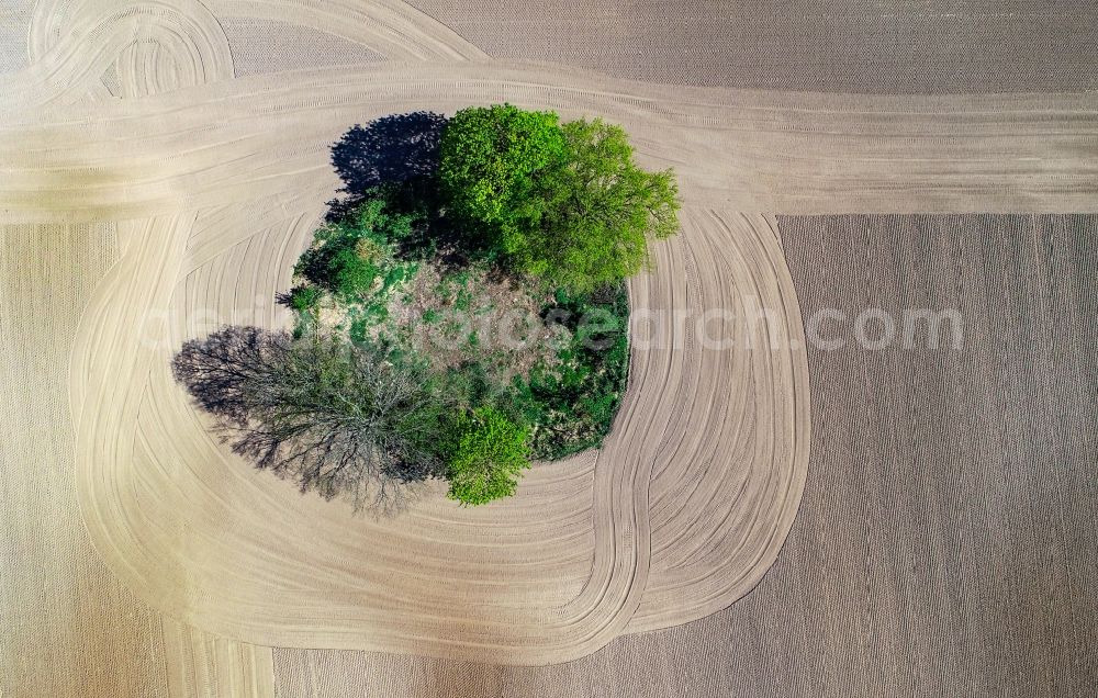 Sieversdorf from above - Field edge of a target biotope in the field surface in Sieversdorf in the state Brandenburg, Germany