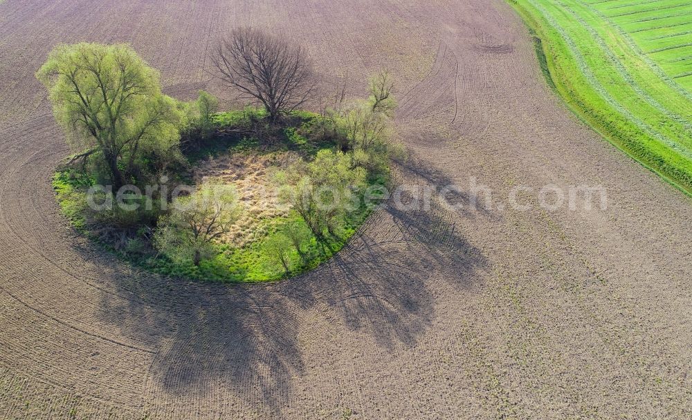 Aerial photograph Sieversdorf - Field edge of a target biotope in the field surface in Sieversdorf in the state Brandenburg, Germany