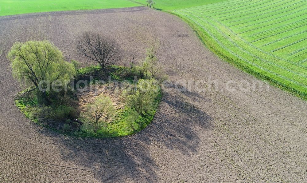 Sieversdorf from above - Field edge of a target biotope in the field surface in Sieversdorf in the state Brandenburg, Germany