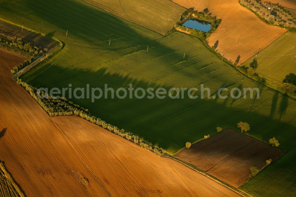 Aerial photograph Monte San Savino - Sunset over the countryside in Monte San Savino in Toscana, Italy