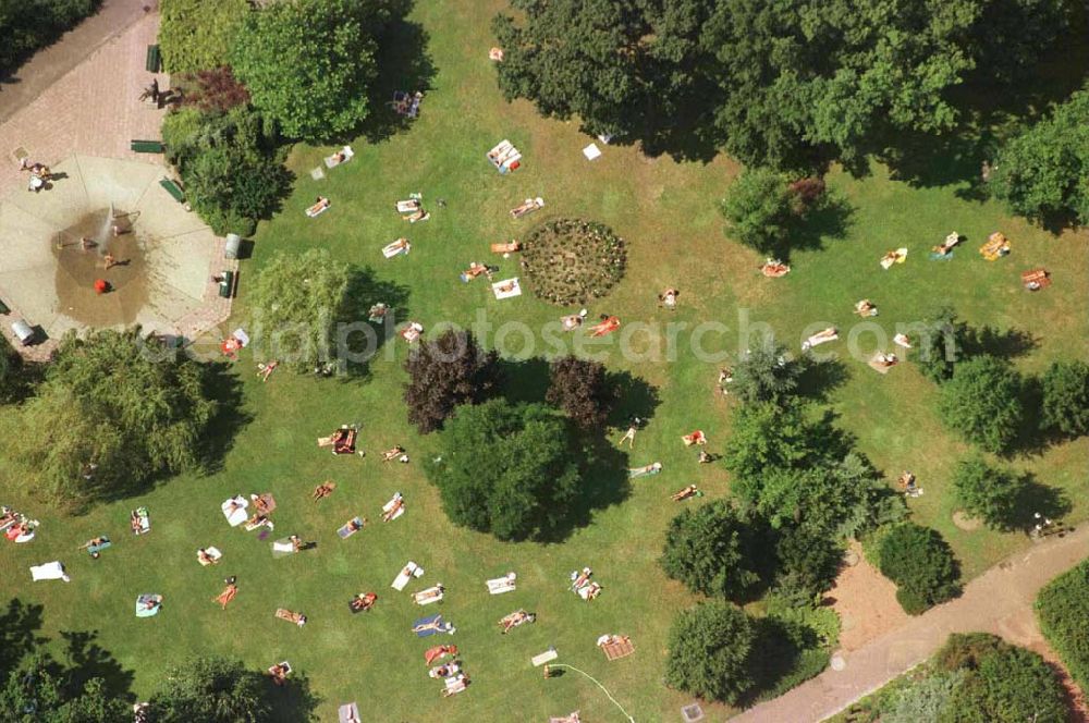 Aerial image Berlin - Sonnenbadende im Volkspark am Weinbergsweg im Stadtteil Prenzlauer Berg - Nähe Kastanienallee