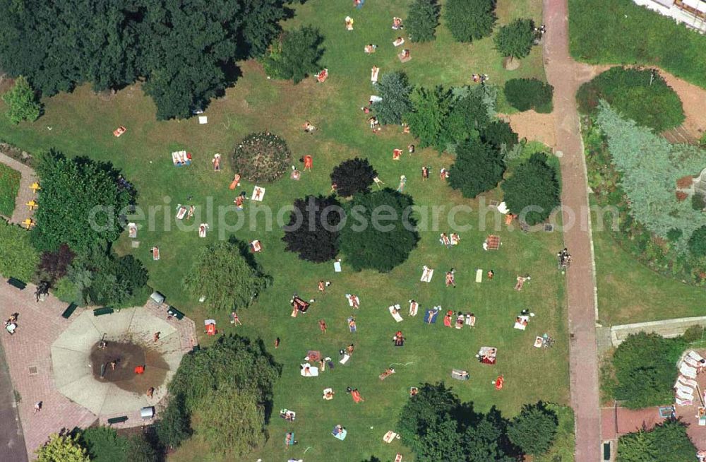 Aerial photograph Berlin - Prenzlauer Berg - Sonnenbadende im Volkspark am Weinbergsweg im Stadtteil Prenzlauer Berg - Nähe Kastanienallee