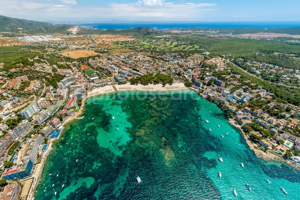 Aerial image Calvia - Row of parasol on the sandy beach ranks in the coastal area Platja Gran de Tora in Calvia in Balearische Insel Mallorca, Spain