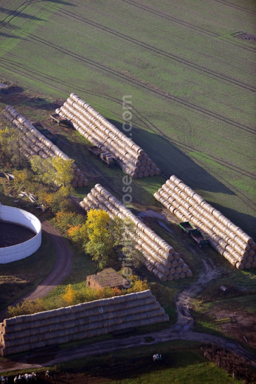 Coblitz from the bird's eye view: View of well-ordered bales of straw in Coblitz in the state Saxony-Anhalt. These bales are located at the property of the cowshed in Colbitz