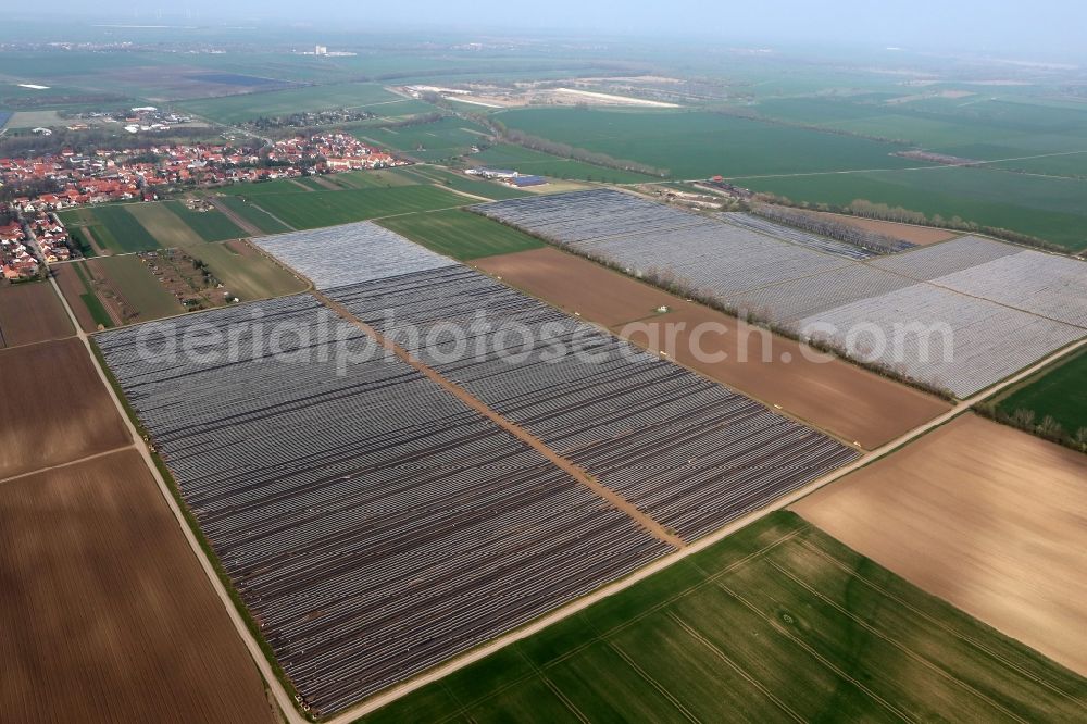 Aerial image Herbsleben - Asparagus harvest on a field at Herbsleben in Thuringia