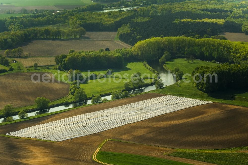 Datteln from above - Asparagus harvest on an asparagus field near by Datteln in the state North Rhine-Westphalia