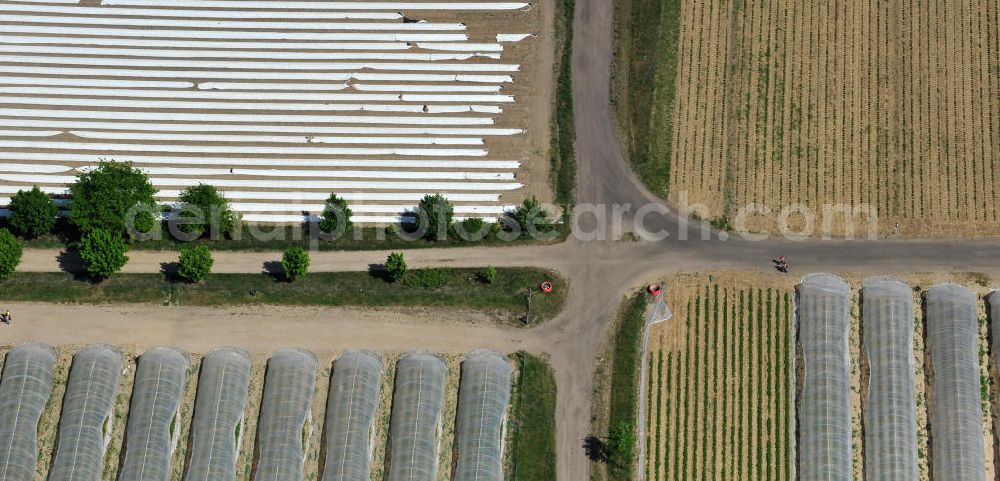 Aerial image Beelitz - Spargefelder und Erdbeerfelder bei Beelitz / Schönefeld. Asparagus and strawberry fields.