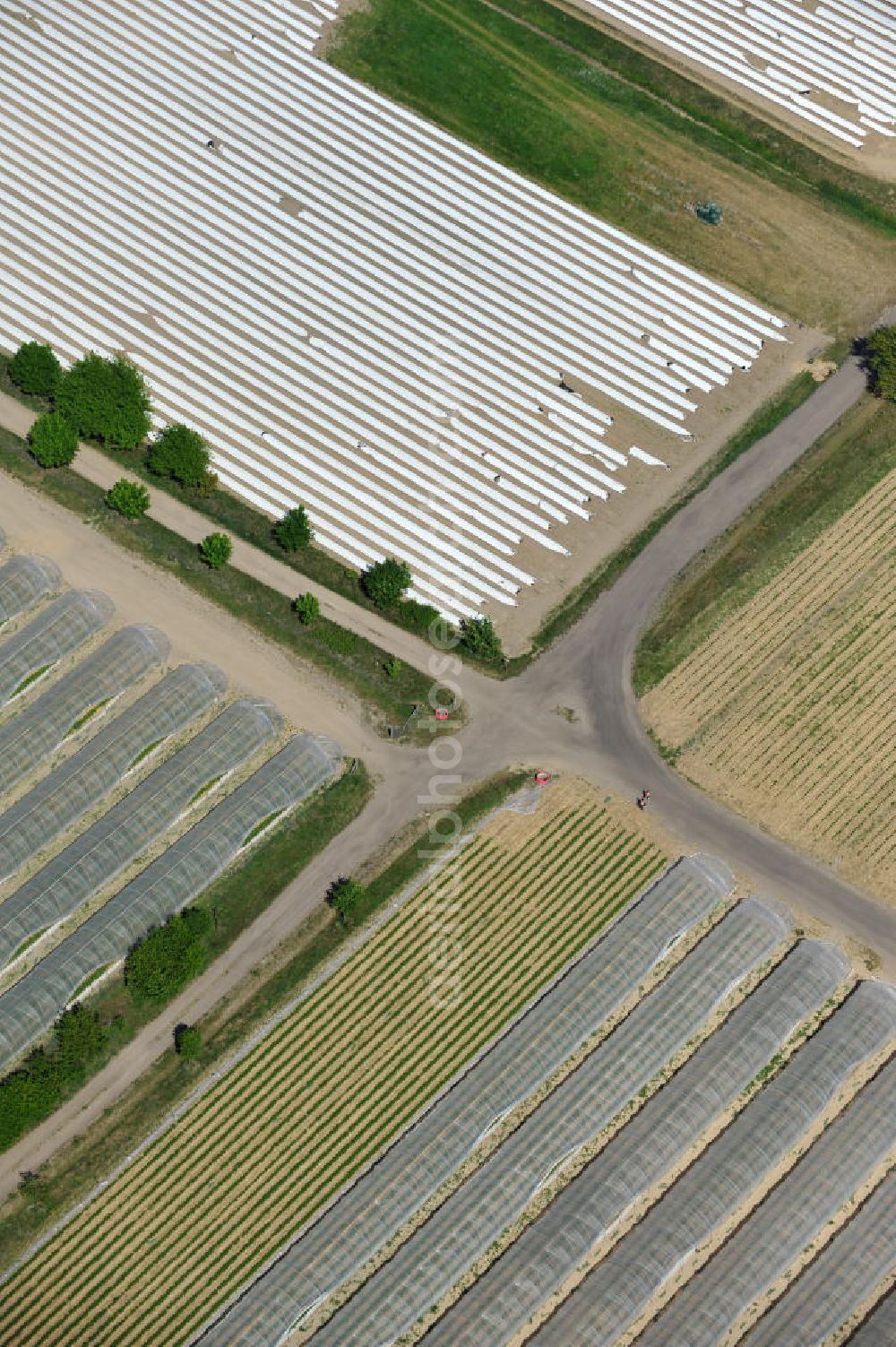 Beelitz from above - Spargefelder und Erdbeerfelder bei Beelitz / Schönefeld. Asparagus and strawberry fields.