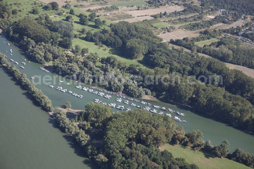 Budenheim from the bird's eye view: Pleasure boat marina with docks and moorings on the shore area of the Rhine river in Budenheim in the state Rhineland-Palatinate