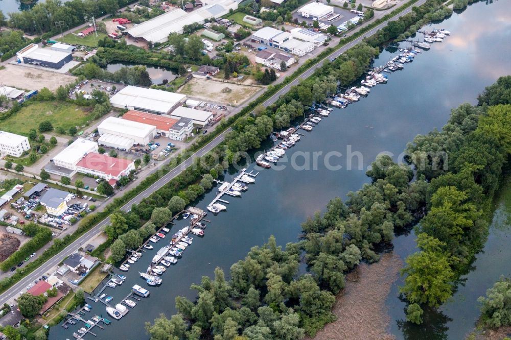 Lampertheim from above - Pleasure boat marina with docks and moorings on the shore area of Lampertheimer Altrheins KaiWest in Lampertheim in the state Hesse, Germany