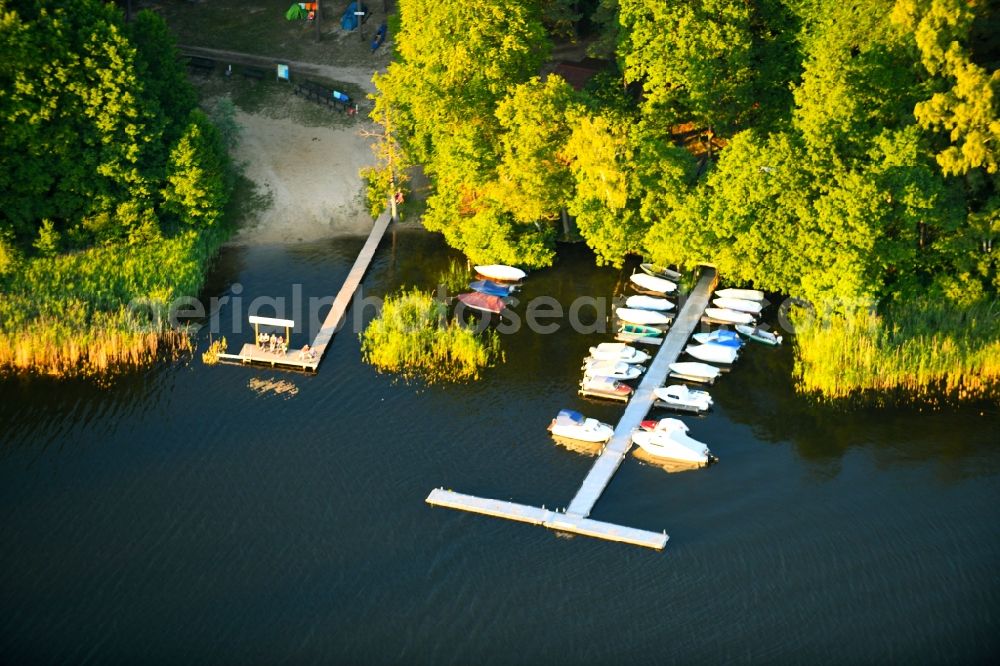 Aerial photograph Roggentin - Pleasure boat marina with docks and moorings on the shore area of Leppinsee in Roggentin in the state Mecklenburg - Western Pomerania, Germany