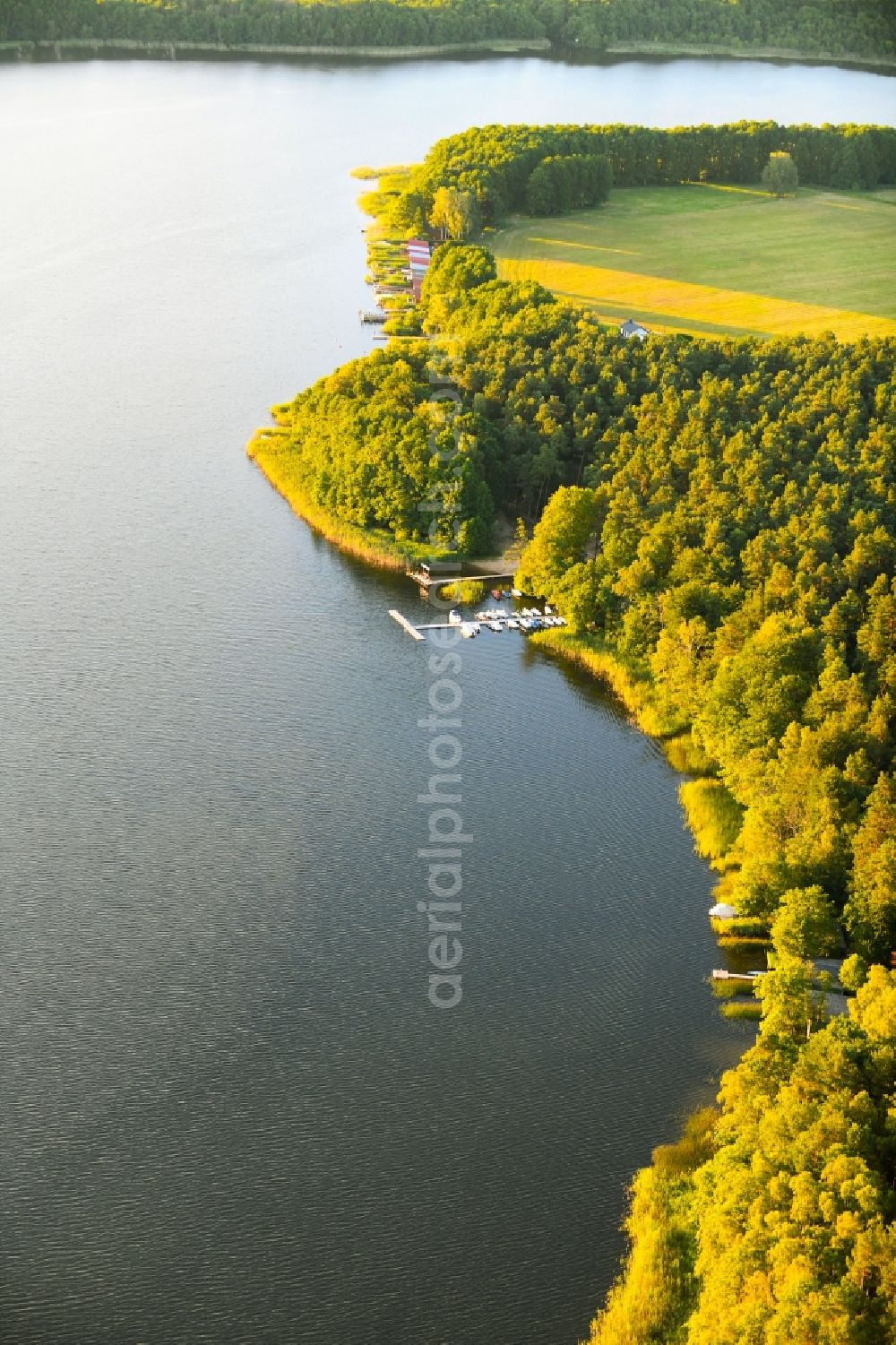 Roggentin from the bird's eye view: Pleasure boat marina with docks and moorings on the shore area of Leppinsee in Roggentin in the state Mecklenburg - Western Pomerania, Germany