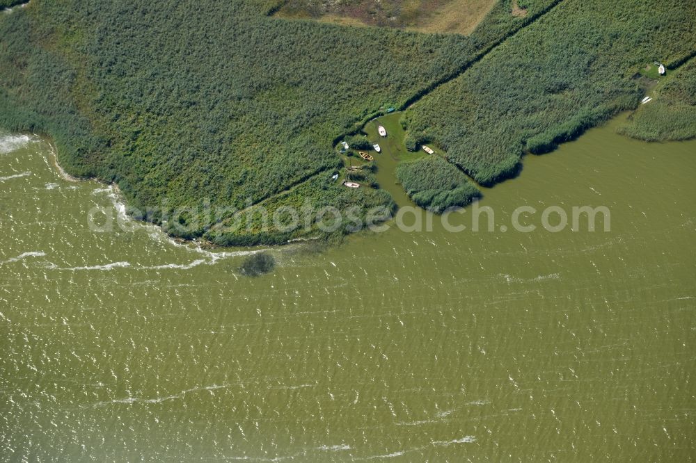 Ahrenshoop from above - Pleasure boat marina with docks and moorings on the shore area in the district Althagen in Ahrenshoop in the state Mecklenburg - Western Pomerania