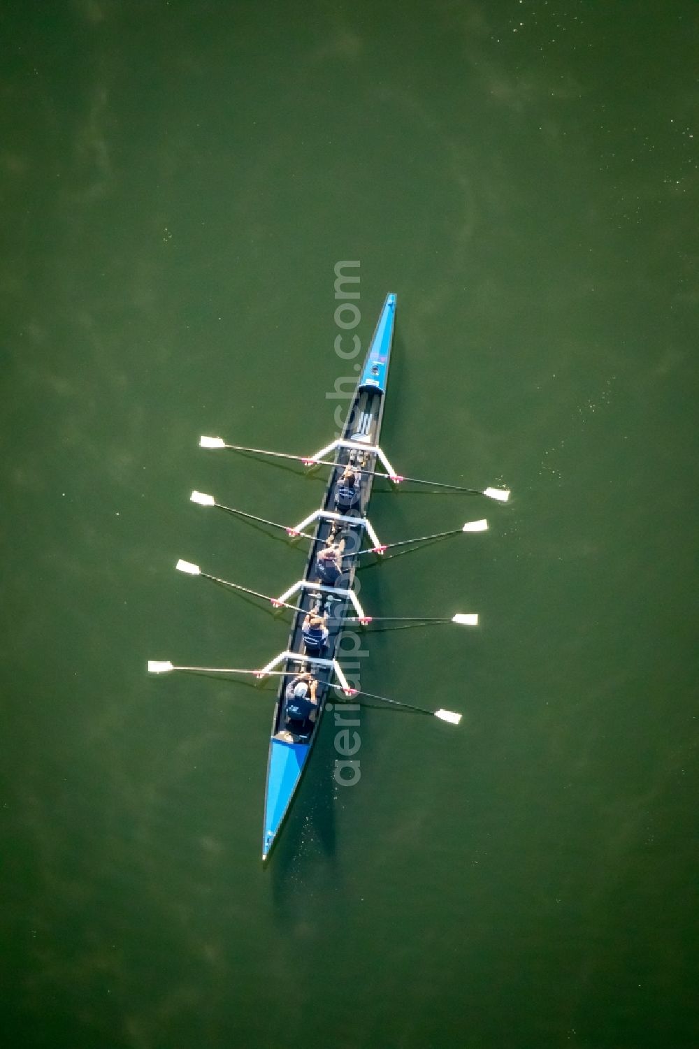 Aerial image Meschede - Sport boat - rowing boat on the Hennesee in Meschede in North Rhine-Westphalia