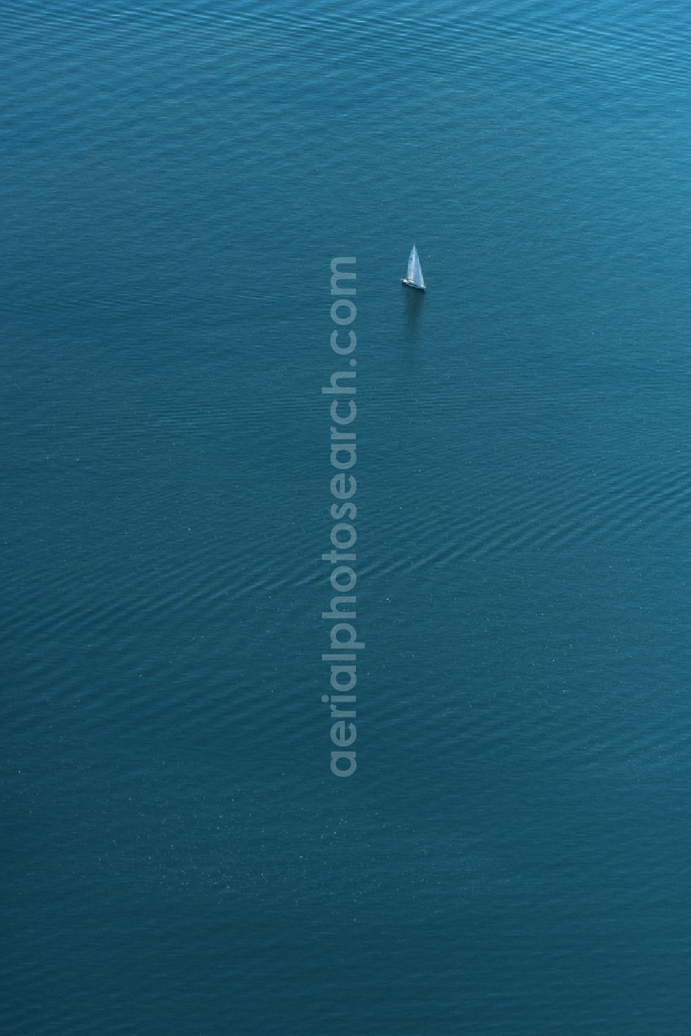 Eriskirch from the bird's eye view: Sailboat under way on Bodensee in Eriskirch in the state Baden-Wuerttemberg, Germany