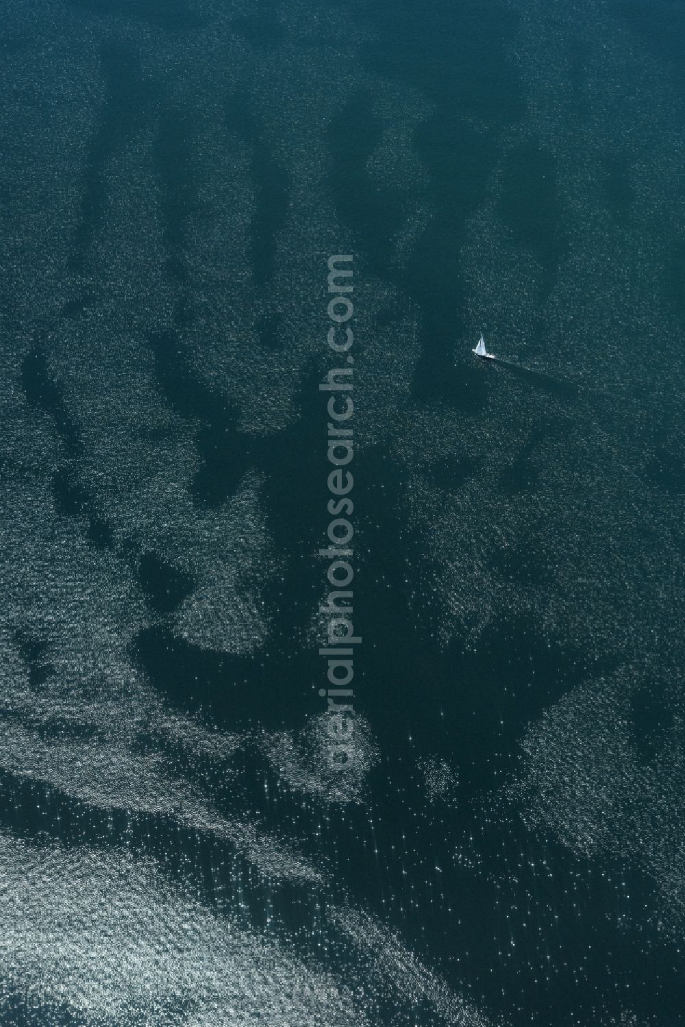 Aerial photograph Eriskirch - Sailboat under way on Bodensee in Eriskirch in the state Baden-Wuerttemberg, Germany