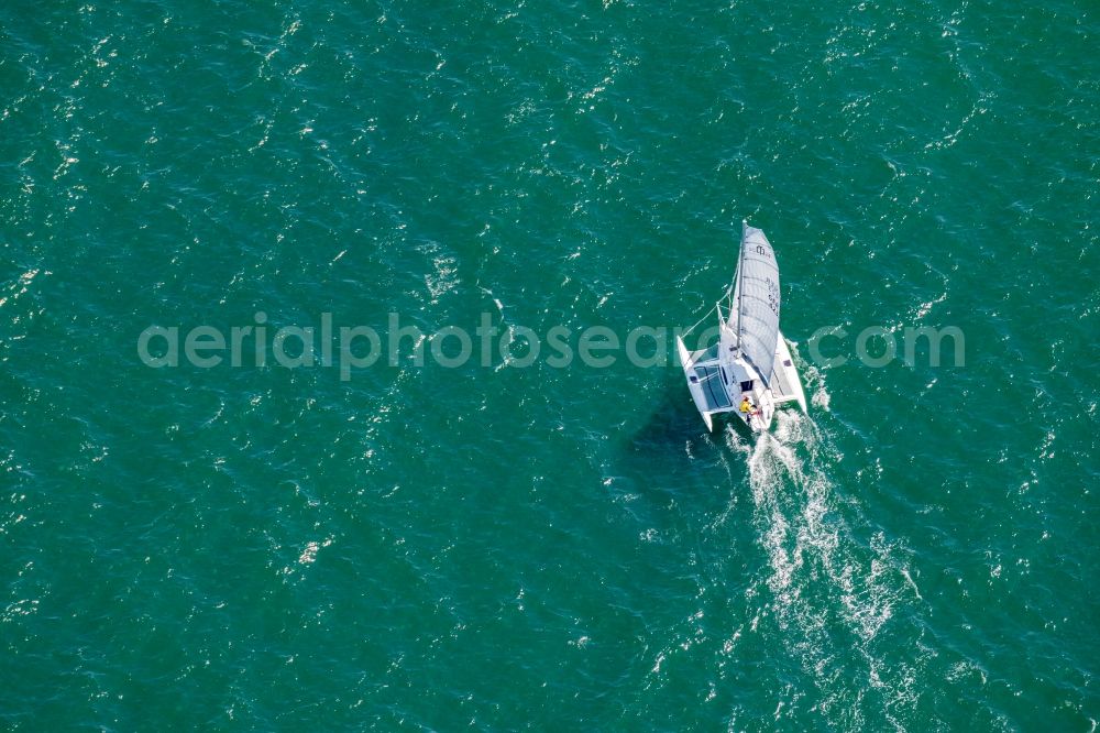 Laboe from the bird's eye view: Sailboat under way with einem Katamaran in Laboe on the Kiel Fjord in the state Schleswig-Holstein, Germany