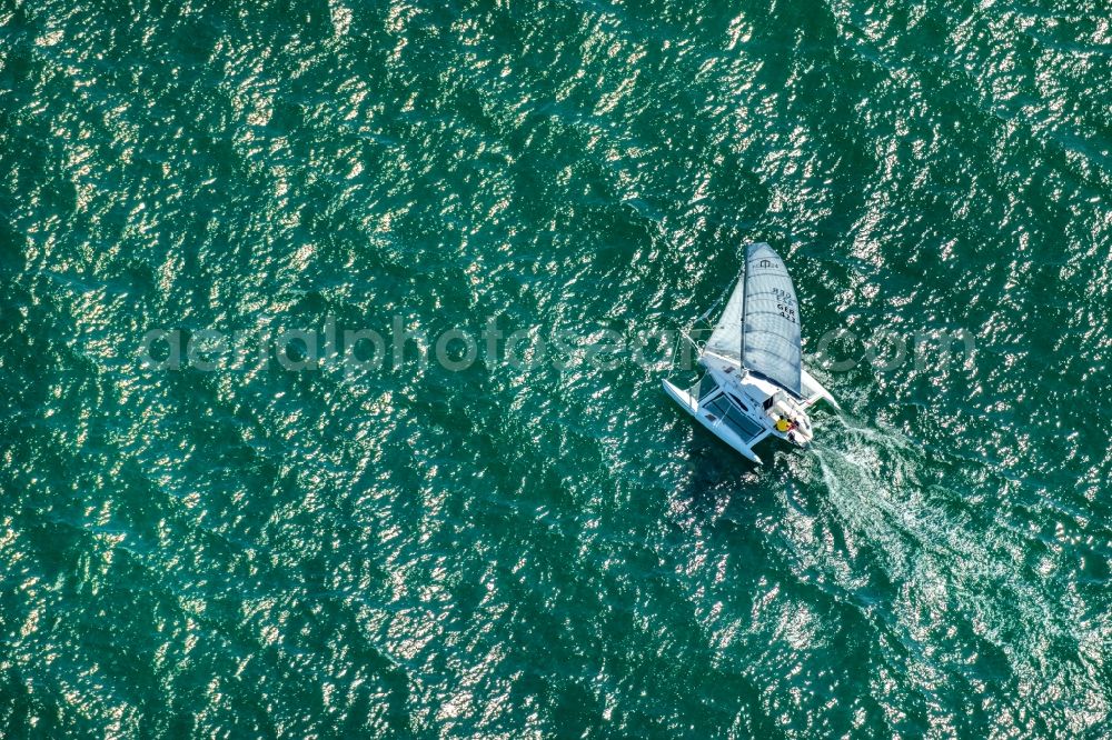 Aerial image Laboe - Sailboat under way with einem Katamaran in Laboe on the Kiel Fjord in the state Schleswig-Holstein, Germany