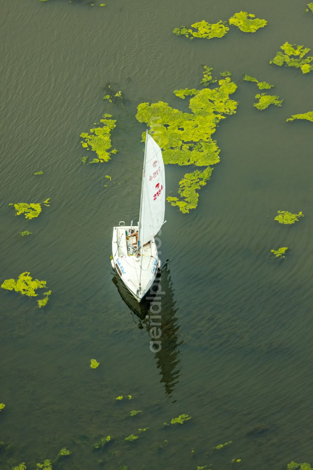 Aerial image Bochum - Sailboat under way on Kemnader See in Bochum in the state North Rhine-Westphalia, Germany