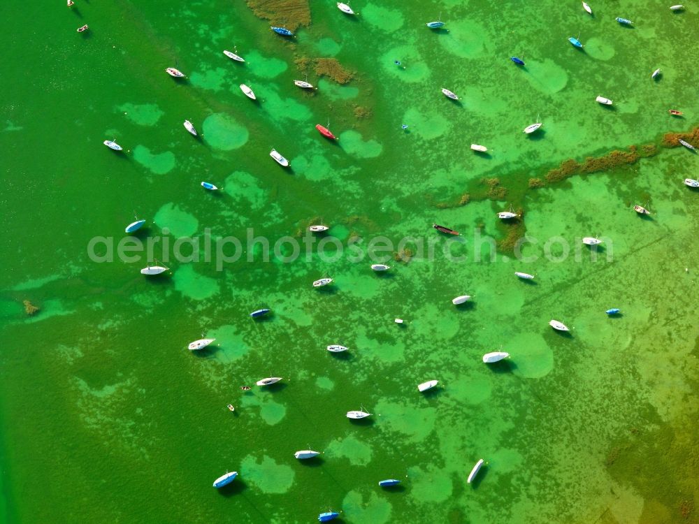 Aerial photograph Fließhorn - Sports boats on the shore of Lake Constance in Baden-Wuerttemberg