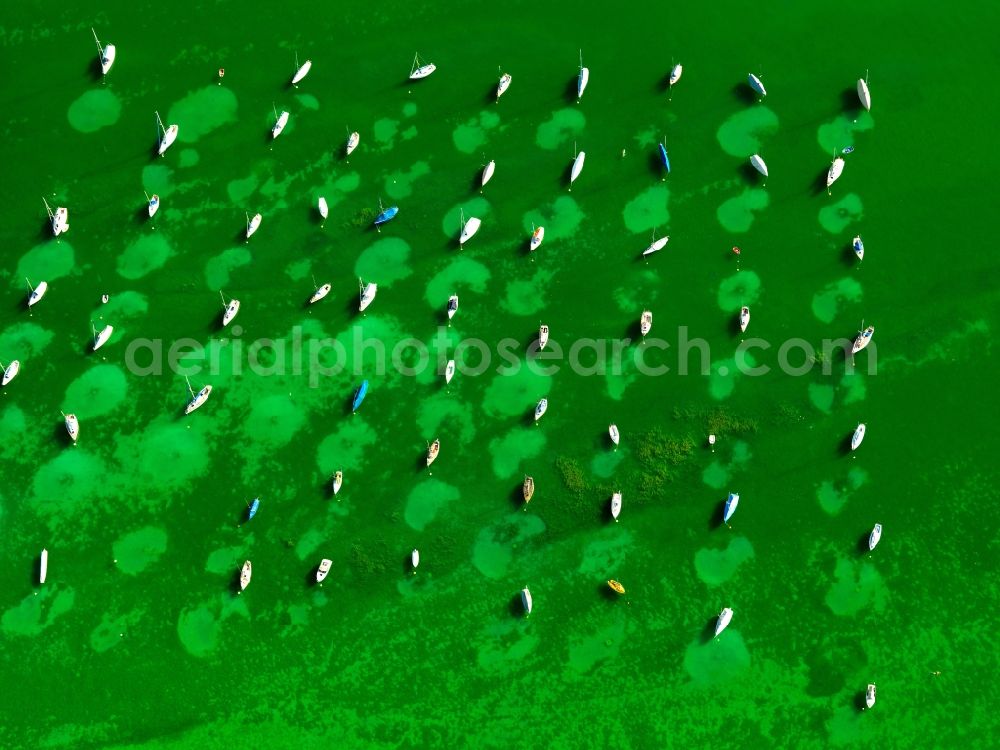 Fließhorn from above - Sports boats on the shore of Lake Constance in Baden-Wuerttemberg