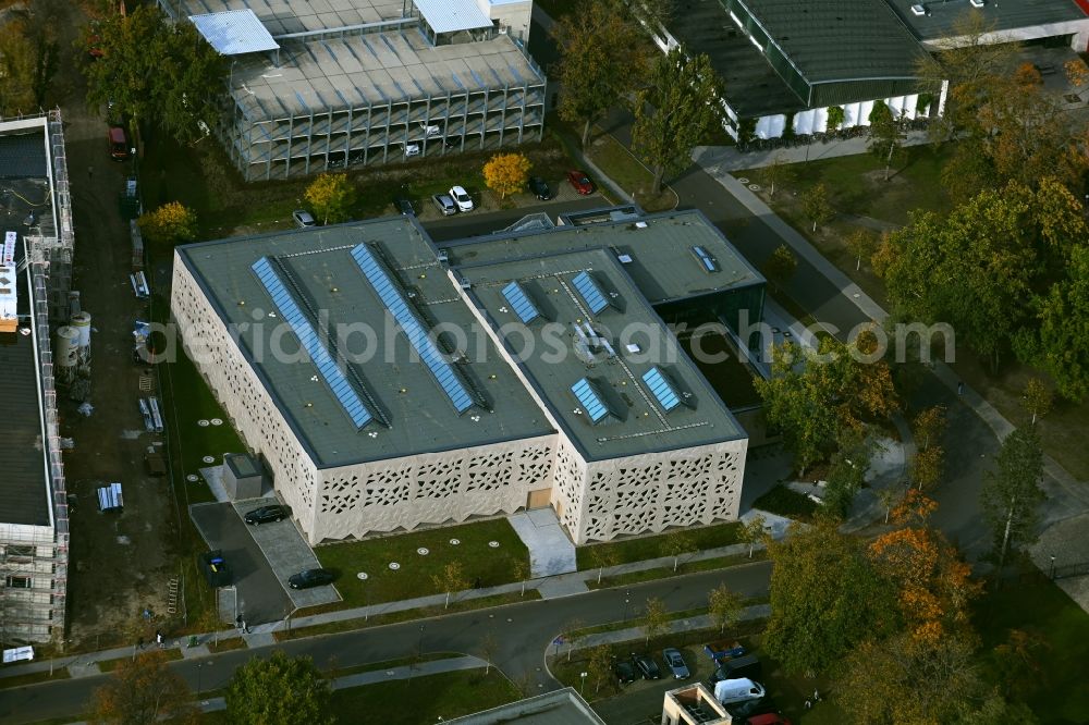 Potsdam from the bird's eye view: Sports hall on corner Olympischer Weg in Potsdam in the state Brandenburg, Germany