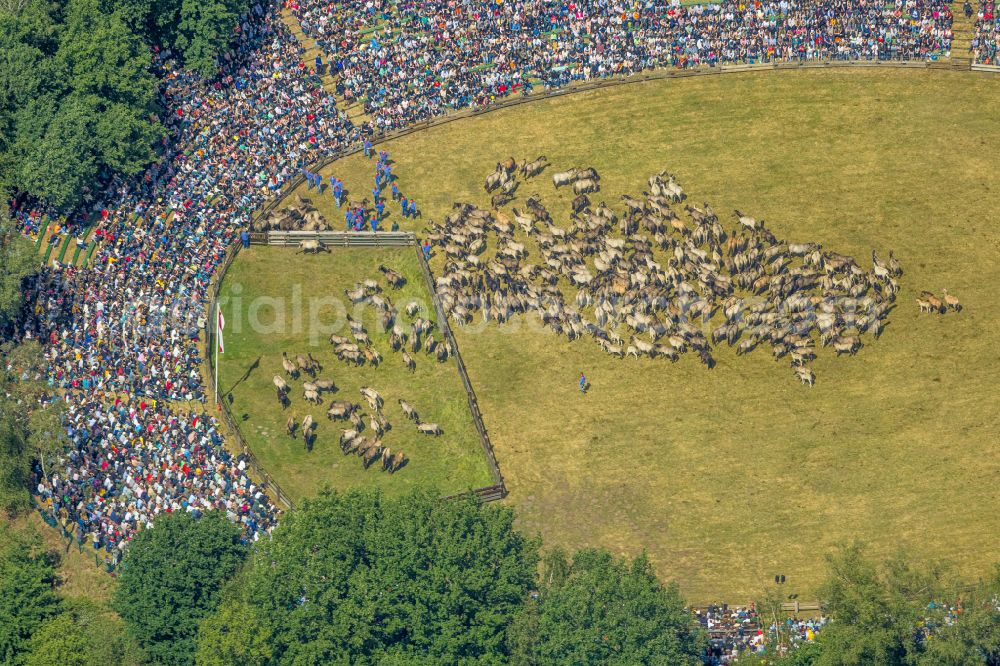 Merfeld from above - Sports facility grounds of the Arena Wildpferdearena in Merfeld in the state North Rhine-Westphalia, Germany