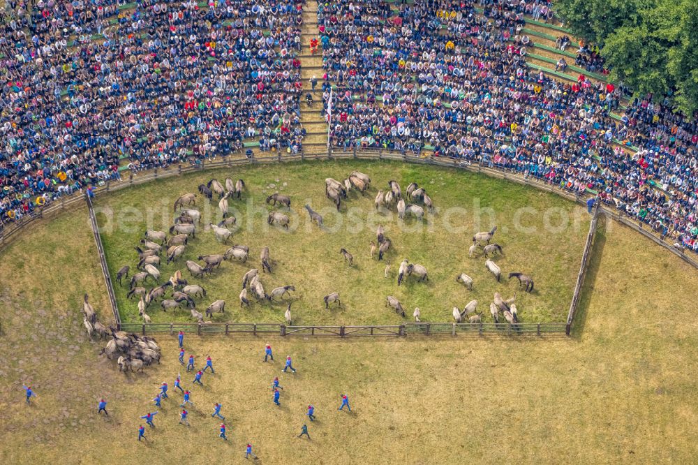 Aerial image Merfeld - Sports facility grounds of the Arena Wildpferdearena in Merfeld in the state North Rhine-Westphalia, Germany