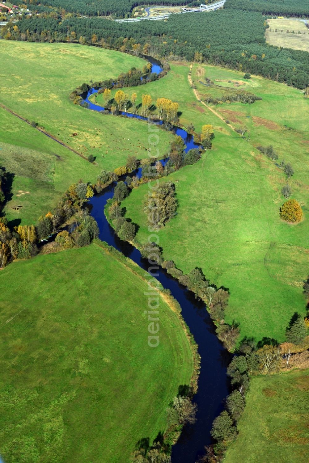 Freienbrink from the bird's eye view: Spree course on meadows - Countryside at Freienbrink in Brandenburg