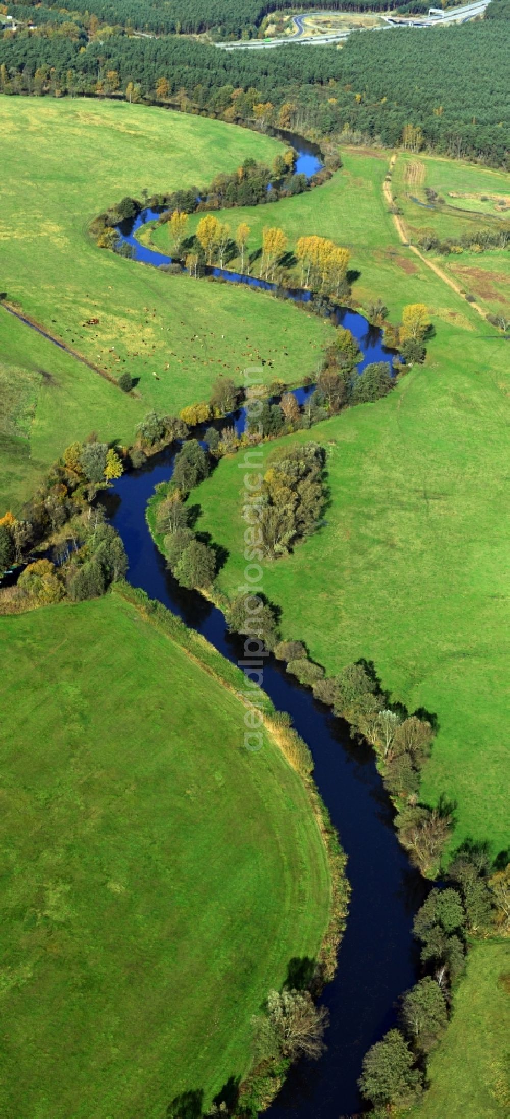 Aerial image Freienbrink - Spree course on meadows - Countryside at Freienbrink in Brandenburg