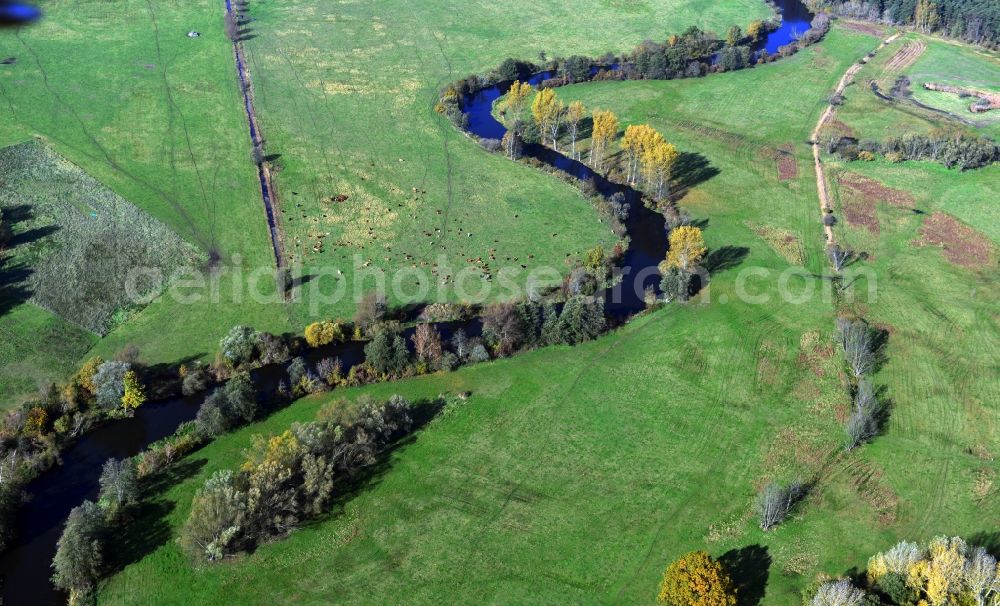 Aerial photograph Freienbrink - Spree course on meadows - Countryside at Freienbrink in Brandenburg