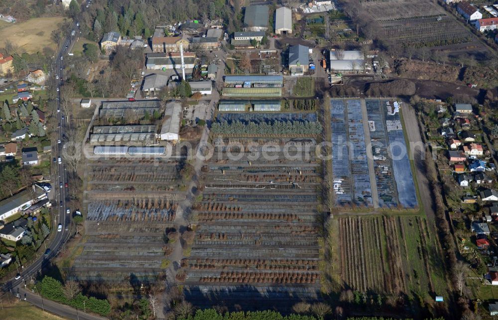 Berlin from above - View of the Spaeth Arboretum in the district Baumschulenweg in Berlin