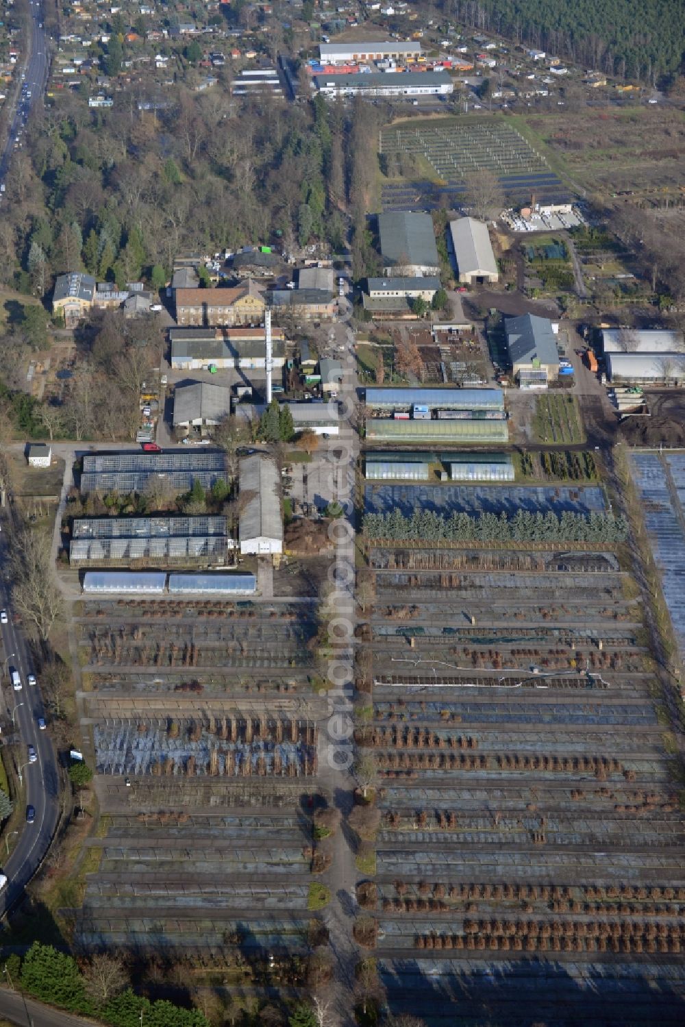 Berlin from the bird's eye view: View of the Spaeth Arboretum in the district Baumschulenweg in Berlin